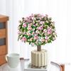 Ramas Doradas y Hojas de Jade Macetas Interior Balcón Suculentas Chupetín Pila Vieja Florales Oficina Plantas Verdes Escritorio Fácil de Mantener