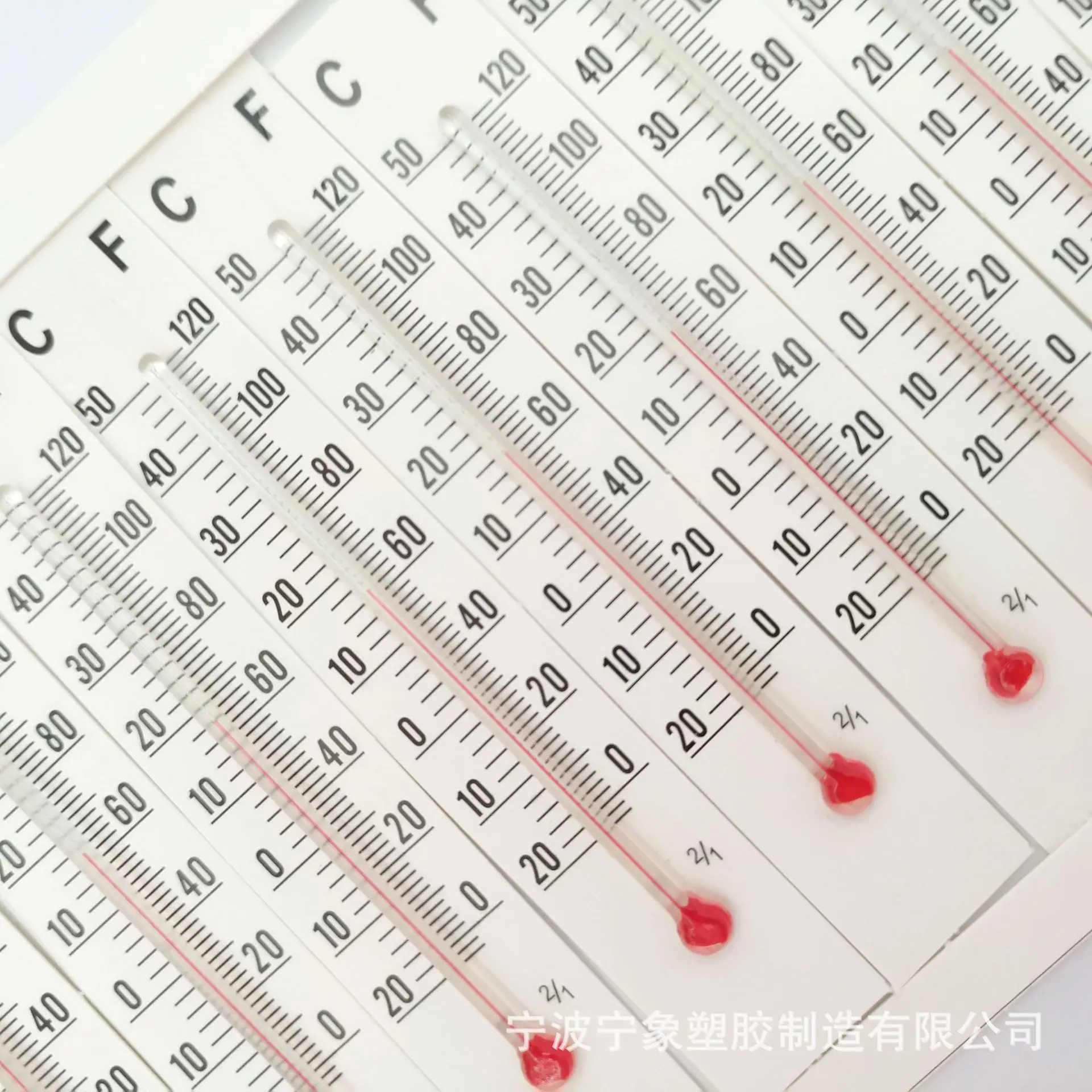 纸板8.0
