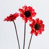 Arte de Crisantemo Holandés Hecho a Mano Materiales de Flores Secas, Plantas, Flores Artificiales Eternas, Artículos Decorativos, Accesorios para Fotos, Flores al por Mayor