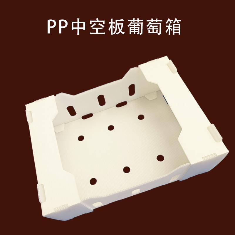 葡萄1.jpg