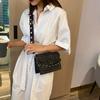 Bolso pequeño nuevo de verano 2024, popular, nuevo, de moda, estilo coreano, versátil, bolso de mensajero, bolso de moda de red roja para mujer.