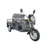 1.1 Triciclo Eléctrico Pequeño para Uso Doméstico, Vehículo a Batería para Transporte de Personas Mayores, Compras de Comestibles y Viajes, Fabricante Mayorista de Triciclos Eléctricos