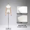 Suporte de Exibição de Modelo para Roupas Femininas, Corpo Meio Corpo Estilo Coreano, Vestidos de Noiva, Cheongsam, Adereços de Vitrine de Loja de Roupas, Manequim de Corpo Inteiro