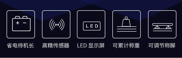 标准台秤_02.jpg