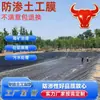 Geomembrana de HDPE Fosa de Lodos Estanque de Sedimentación Membrana Impermeable Estanque de Relaves Vertedero de Residuos Peligrosos Geomembrana de Nuevo Material