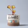 Maceta Pequeña de Hongo Estilo Pastoral Cerámica Gres Maceta para Flores Maceta Creativa para Planta Suculenta Versátil Mesa Mesa Planta en Maceta Venta al por Mayor