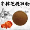Extrato de Ophiocordyceps 10:1 Pó Solúvel em Água Extrato de Planta Pó Fino Grau Alimentício Matéria-Prima Processamento Personalização