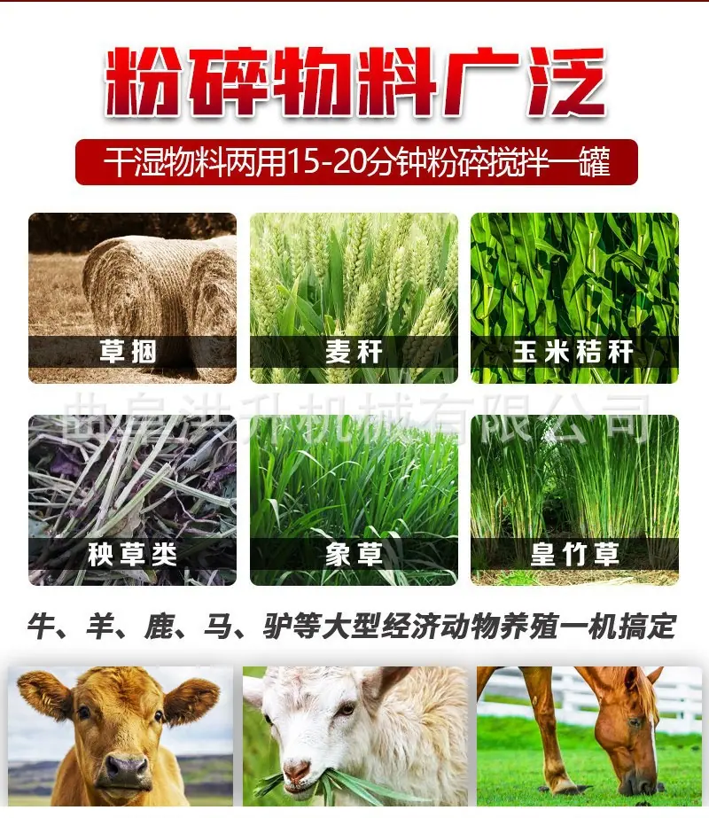 双轴TMR搅拌机3.jpg