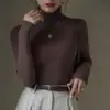 Camiseta Básica de Cuello Alto Imitación Lana Engrosada Otoño e Invierno para Mujer, Ropa Interior Sencilla y de Gama Alta, Camiseta Elegante de Manga Larga Ajustada