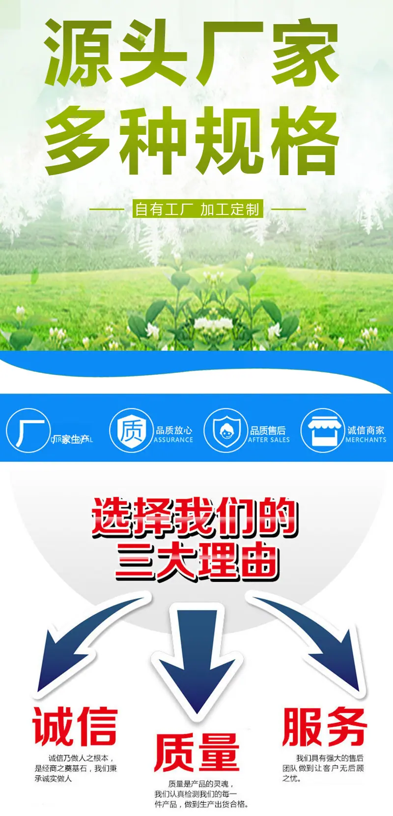 通用详情1.jpg