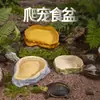 Tortuga Semiacuática Bañera para Tortugas Lagarto Reptil Mascota Comedero para Mascotas Recipiente de Agua Resina Serpiente Borde Amarillo Lagarto Grande Cangrejo Ermitaño