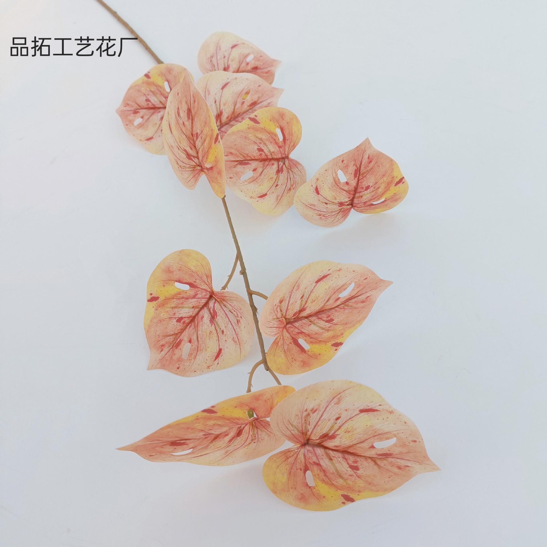 1db3d46f2eb2d93f2dc034ca5f72c3