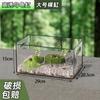Nuevo Tanque Ecológico para Tortugas Paisajismo con Terraza, Pequeño Acuario de Plástico para Criar Dinosaurios Hexagonales y Cría de Tortugas para Evitar Escapes