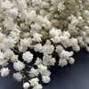Pequeña Cola de Conejo de Caña Hierba Flor Inmortal Ramo DIY Producto Terminado Decoración Flor Real Adornos de Instagram Hierba de la Pampa Flores Secas Transfronterizo