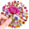 50 piezas de pegatinas de ramo de flores secas estilo vintage, flores eternas artificiales de PET transparente, pegatinas de material floral de lavanda y gypsophila