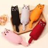 Brinquedo de Erva-do-Gato Amazon Rato Criativo de Polegar Almofada de Erva-do-Gato para Roer Pet