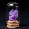 Adornos de Muestras de Minerales de Cristal Natural para Educación Científica Infantil, Cajas de Cristales Minerales, Muestras de Rocas, Muestras de Minerales en Piedra Cruda, Coleccionables