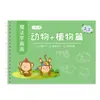 Caneta de Jardim de Infância Controle de Caneta Treinamento Livro de Prática de Desenho Mágico para Crianças Pré-Escolar Desenho Simples Livro de Despertar para Desenho