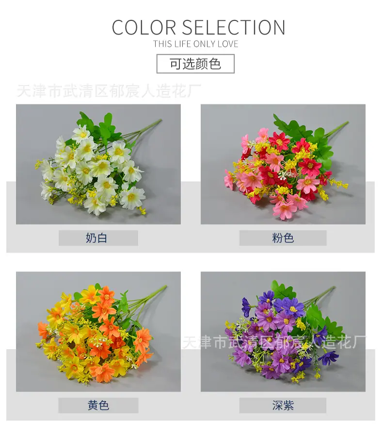 详情_02.jpg