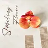 Novas Flores Artificiais de Orquídea Borboleta de 7cm para Decoração de Parede de Flores de Casamento, Materiais de Flores Artificiais para Buquês de Mão DIY, Presilhas de Cabelo e Cabeças de Flores Pequenas