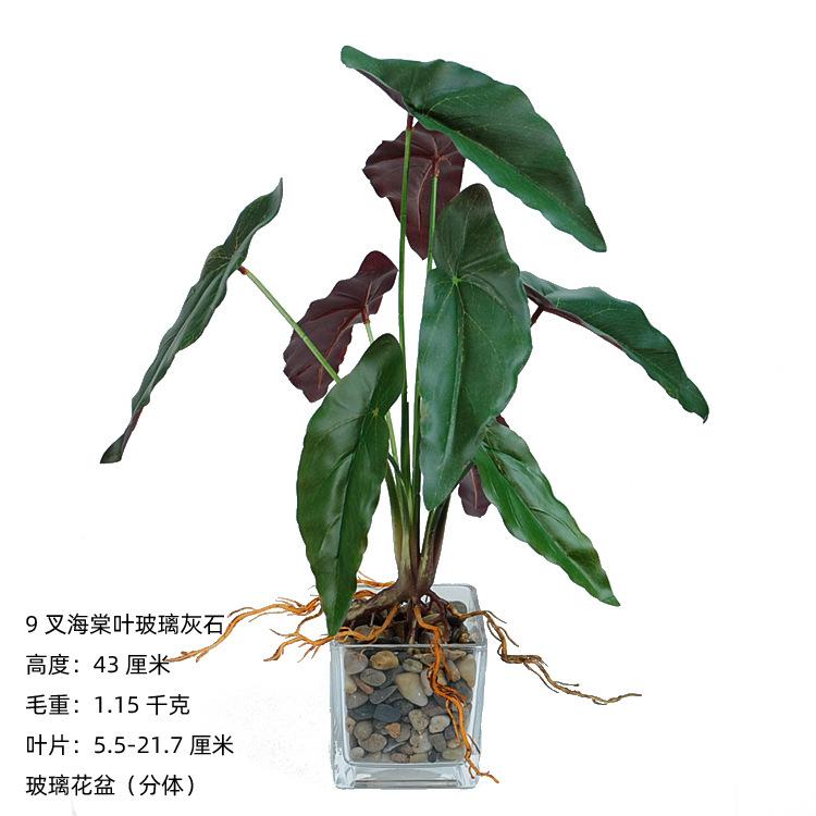 9叉带须海棠叶玻璃黑石