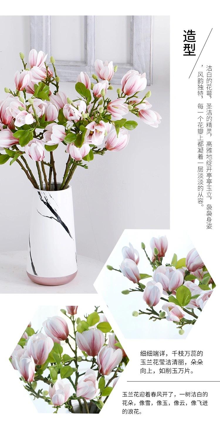 微信图片_202102162258446