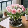 Água e ela crescerá Flor Rosa Aromática Hidropônica Bola de Raiz + Pacote Combinado de Planta Aérea Rosa de Damasco