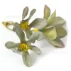 Orquídea Ramo Pequeño Flor Artificial Hecha a Mano Antigua Producción DIY Flor de Muñeca Accesorios para Peinado Material Decoración de Flores