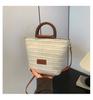 Bolso de paja para mujer, primavera y verano 2024, nuevo estilo pastoral, bolso de cubo vintage, bolso tejido fresco estilo Mori.
