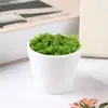 Macetas Pequeñas Hechas a Mano para DIY, Macetas de Plástico con Torcedura de Hilo de Ganchillo, Plantas Suculentas, Plantas Verdes de Escritorio, Macetas