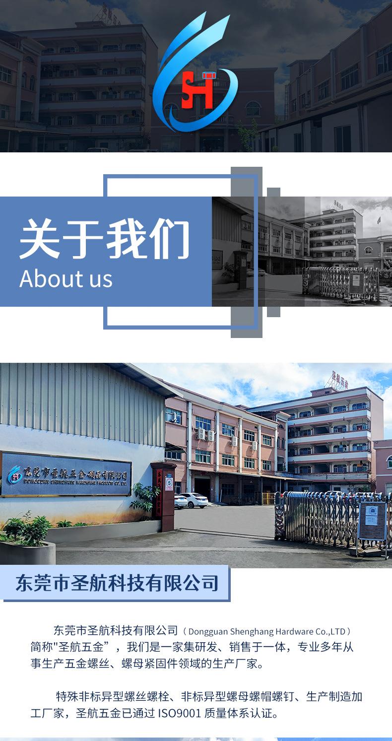 特殊非标异型螺丝螺栓螺母螺帽螺钉生产制造加工厂家