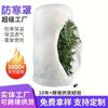 Cubierta Domo para Protección contra el Frío para Plantas Tela No Tejida Engrosada Cubierta Cálida Antihielo Jardín Transfronterizo Árbol Frutal Flor Cubierta Protectora contra Heladas y Frío
