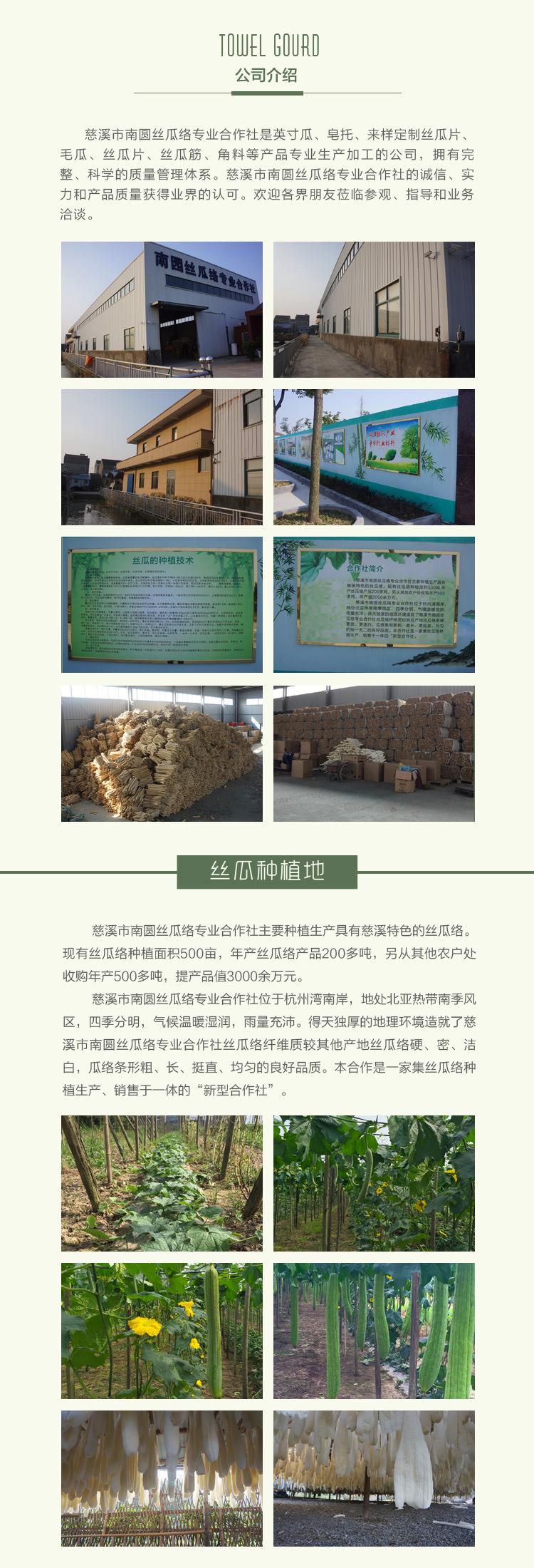 公司简介