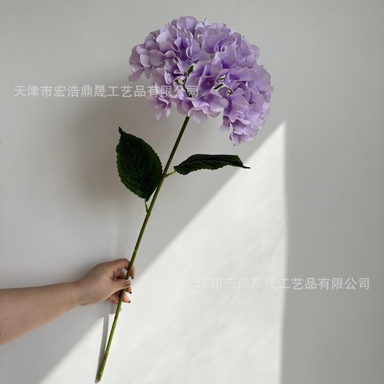 微信图片_202303081754392_副本