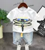 Camiseta de Mariposa Bicolor Personalizada para Niños Nueva de Verano 2019 C78037 C12120 C12181