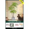 Planta en Maceta de Piso Nandina Domestica, Planta Verde Artificial Grande para Interiores, Decoración de Lujo Ligero para Sala de Estar, Árbol Artificial