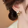 Pendientes de botón de cristal marrón y perla, diseño de nicho, versión coreana 2025, pendientes Maillard, nuevos pendientes de alta gama 2025