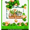 Decoração de Conjunto para Festa de Aniversário Infantil Desenho Animado com Tema de Selva
