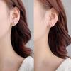 Lindos y sencillos pero elegantes aretes asimétricos de zanahoria con temática de conejo, con un diseño único y personalizado para tu año zodiacal.