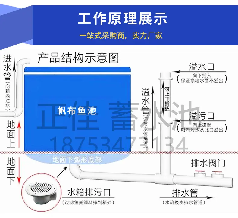 详情鱼马桶