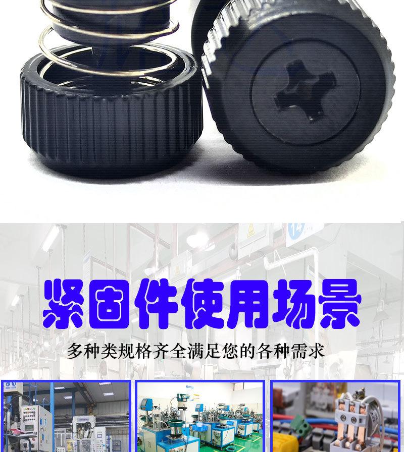 弹簧螺钉PF50详情_03