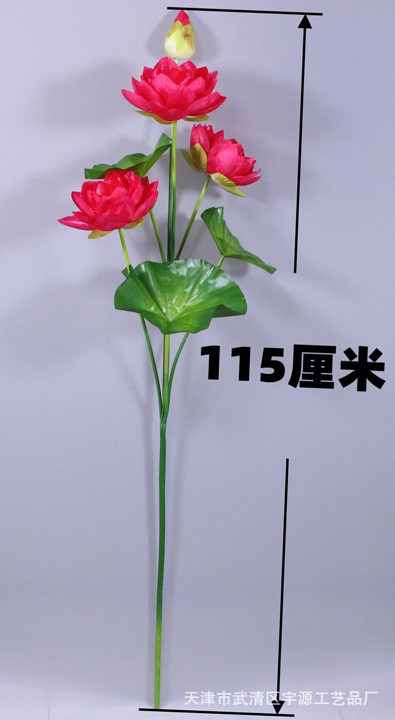 IMG_9976_副本.jpg