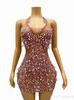 Vestido Sexy Transparente Elástico Rosa Perlado con Pedrería Espalda Descubierta Serie Fiesta de Cumpleaños