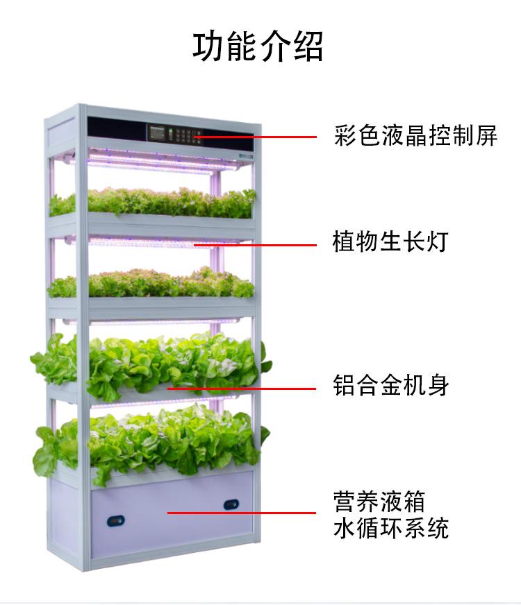 详情图_07