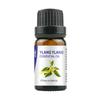 Atacado 10ml Óleos Essenciais de Planta Única Rosa Lavanda Massagem Aromaterapia Beleza Facial Fragrância Cuidados com a Pele Amostra Planta