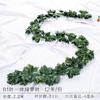 Folhas de Uva Simuladas, Folhas Falsas Decorativas, Folhas Verdes, Jiboia Trepadeira, Folhas de Jiboia, Plantas de Teto de Rattan, Trepadeiras de Flores, Atacado Transfronteiriço