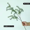 Venda Quente Transfronteiriça Folhas de Samambaia de Borracha Macia de Galho Longo Estilo Floresta Decoração de Casa Hotel Casamento Flores Artificiais e Enfeites de Plantas Verdes