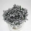Material de ramo de simulación flor de novia flor de retrato personal material de corona de bricolaje espiga de estrella de simulación 12 un ramo