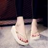 Chanclas de cuña de color liso de nuevo estilo para mujer, antideslizantes, transpirables, resistentes al desgaste, sandalias casuales de playa con suela gruesa