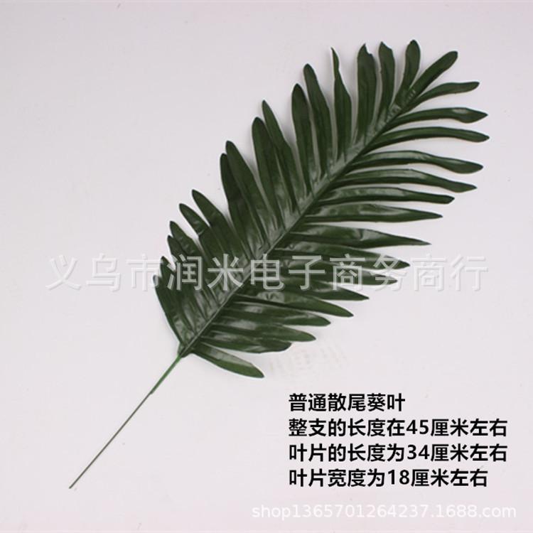 IMG_8301_副本_副本_副本